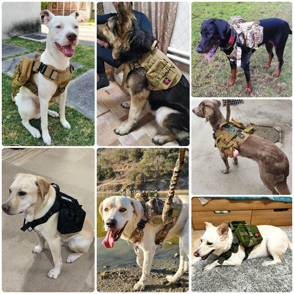 MOLLE Tactical Dog Harness